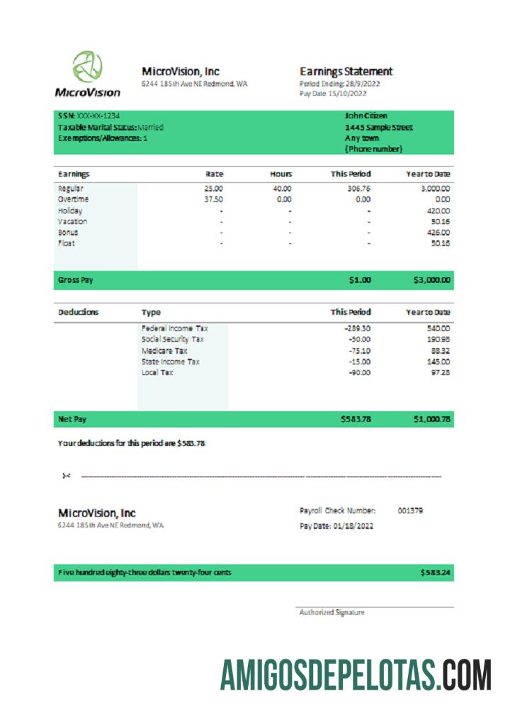 Recibo de pagamento da empresa informativa da MicroVision dos EUA modelo